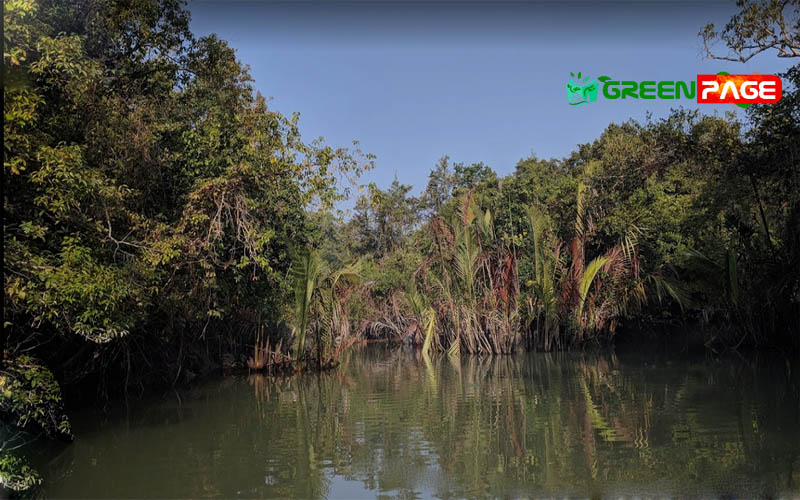 https://www.greenpage.com.bd/natural-environment/