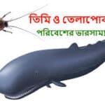 পরিবেশের ভারসাম্য রক্ষায় তিমি ও তেলাপোকার বিস্তর অবদান রয়েছে