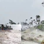 বন উজাড়সহ নানাভাবে ক্ষতি করা হচ্ছে পরিবেশের