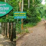 ভেস্তে গেলো লাউয়াছড়া জাতীয় উদ্যানের সড়ক ও রেলপথ সরানোর উদ্যোগ