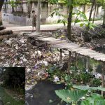 দখল-দূষণে মরে যাচ্ছে শ্যামাসুন্দরী খাল