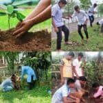 পরিবেশ সুরক্ষায় বৃক্ষরোপণের বিকল্প নেই