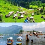 ভয়াবহ তাপপ্রবাহে পুড়ছে কাশ্মীর