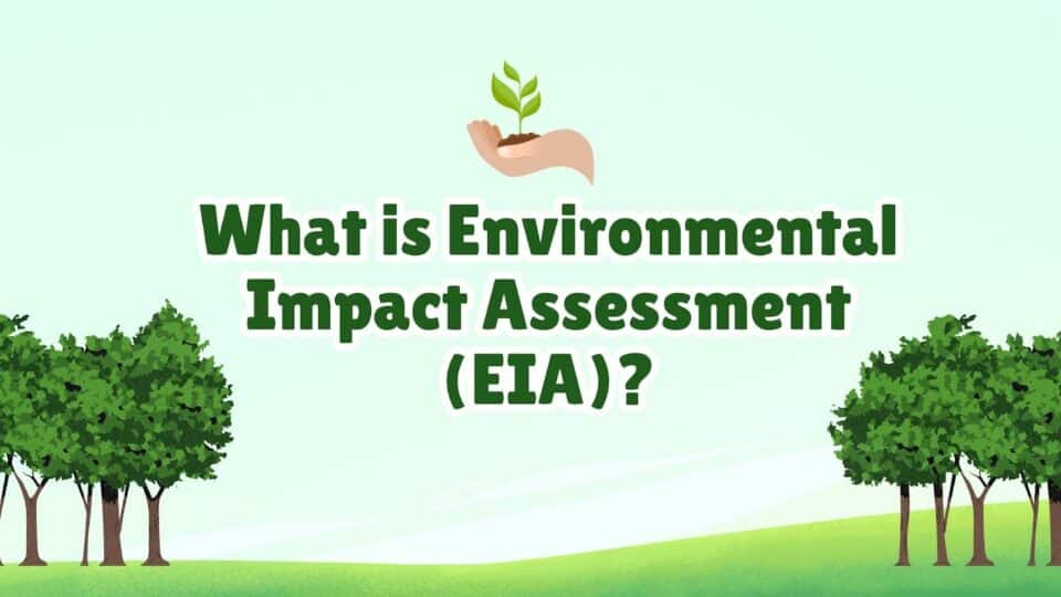 প্রকল্পের পরিবেশগত প্রভাব মূল্যায়ন (EIA) প্রক্রিয়া
