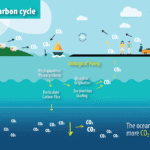 লেজার স্যাটেলাইটে অ্যান্টার্কটিকার গোপন কার্বন রহস্য