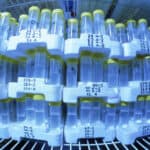 জলবায়ু পরিবর্তন কবলিত প্রজাতি রক্ষায় 'জিন ব্যাংক'