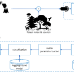 অবৈধ কাঠের বাণিজ্যের নেটওয়ার্ক ভাঙতে ডিজিটাল নজরদারি