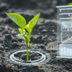 কৃষিতে এআই বিপ্লব