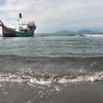 অবৈধ সামুদ্রিক খাদ্য বাণিজ্যে মানব পাচারের যোগসূত্র