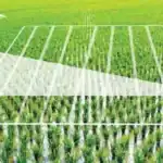 কৃষিতে এআই বিপ্লব