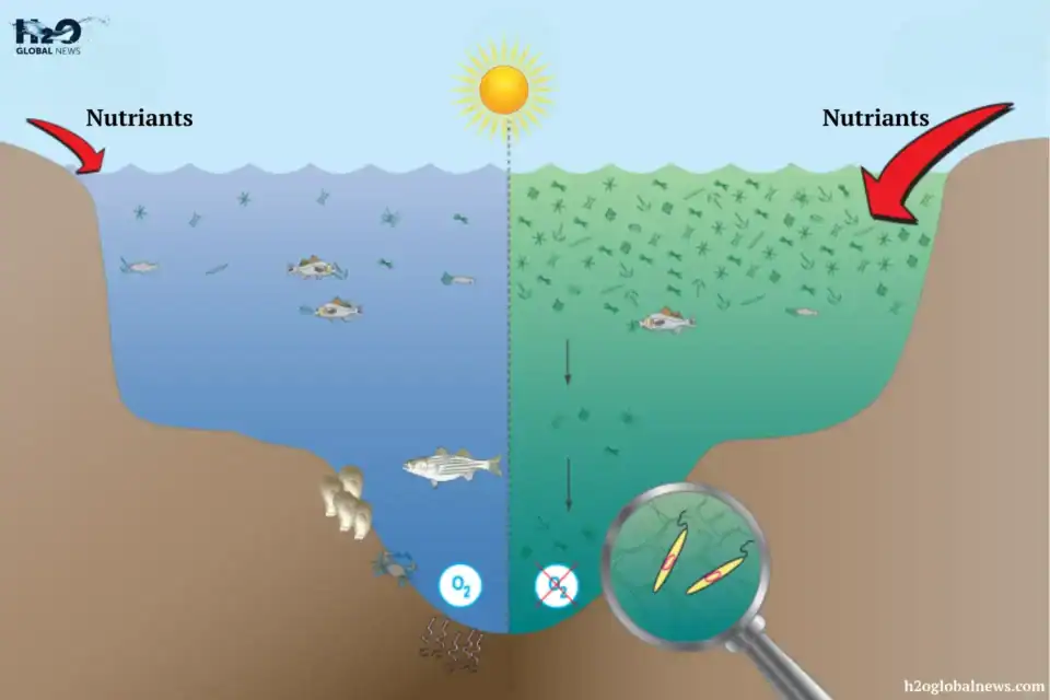 প্রশান্ত মহাসাগরের বায়োমাস সংকটে মৎস্য শিল্প