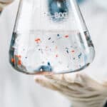 মাইক্রোপ্লাস্টিক এখন অরিক্স সহ শীর্ষ শিকারি প্রাণীর জন্য ডবল বিপদ