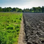 রিজেনারেটিভ এগ্রিকালচার' (Regenerative Agriculture)