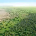 গ্রেট গ্রিন ওয়াল (Great Green Wall)