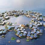 ফ্লোটিং সিটি এবং জলবায়ু অভিযোজন, ২০২৬-এ সমুদ্রের বুকে জনপদ