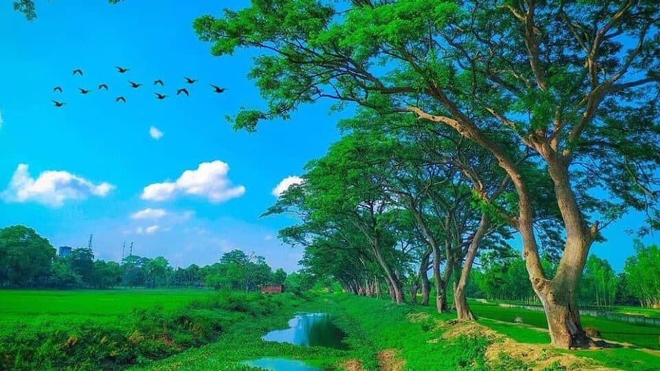 বাংলাদেশের পরিবেশগত ইতিহাসের এক ঐতিহাসিক বাঁক