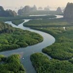 আমাজন রেইনফরেস্টের ‘লিগ্যাল পারসনহুড’ এবং বৈশ্বিক কার্বন ট্যাক্স বিপ্লব