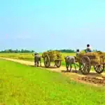 জলবায়ু শিকারি থেকে জলবায়ু নেতার পথে বাংলাদেশ