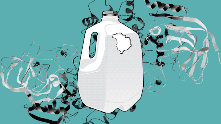 প্লাস্টিক-ইটিং এনজাইম