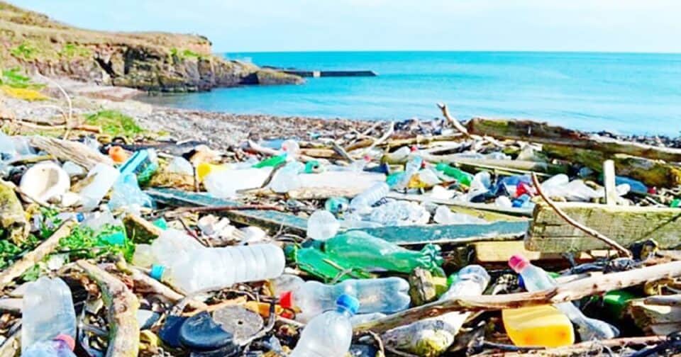 প্লাস্টিক দূষণ রোধে বিশ্বব্যাপী নতুন চুক্তি এবং মহাসাগর রক্ষায় প্রযুক্তির ব্যবহার