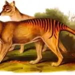 ডোপেলগ্যাঞ্জার ইকো-সিস্টেম: বিলুপ্ত প্রাণী ফিরিয়ে আনার নৈতিক ও পরিবেশগত লড়াই