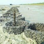 প্রাকৃতিক ঢাল: সীতাকুণ্ডের উপকূলে কৃত্রিম ঝিনুক-প্রাচীর ও সুরক্ষা