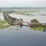 চলনবিল রক্ষা আন্দোলন, ২০২৬ সালের মহাপরিকল্পনা ও উত্তরবঙ্গের জীববৈচিত্র্য পুনরুদ্ধার