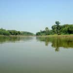 জাতীয় নদী দিবস: নদী রক্ষায় বর্ণাঢ্য সাইকেল শোভাযাত্রা ও আলোচনা সভা অনুষ্ঠিত