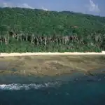 বঙ্গোপসাগরের ‘ক্লাইমেট রিফিউজি’ ও ভাসান চরের টেকসই পরিবেশগত আবাসন মডেল