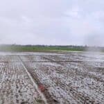 উপকূলীয় কৃষিতে লবণাক্ততার অভিশাপ: ভাসমান চাষাবাদ ও জলবায়ু-সহনশীল ফসলের নীরব বিপ্লব