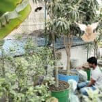 ঢাকার ছাদে 'আরবান ফার্মিং' ও পাখির প্রত্যাবর্তন: কংক্রিটের জঙ্গলে নতুন ইকোসিস্টেম
