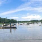 হালদা নদীর জীববৈচিত্র্য রক্ষা ও কার্প জাতীয় মাছের প্রাকৃতিক প্রজনন: জলবায়ু পরিবর্তনের প্রভাব ও নতুন উদ্যোগ