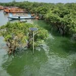 টাঙ্গুয়ার হাওরে প্লাস্টিক নিষিদ্ধ ও অবৈধ ইজারা বাতিল