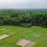 বনভূমির রক্ষায় যুগান্তকারী সিদ্ধান্ত: কক্সবাজারে জনপ্রশাসন একাডেমি নির্মাণের জমি বরাদ্দ বাতিল