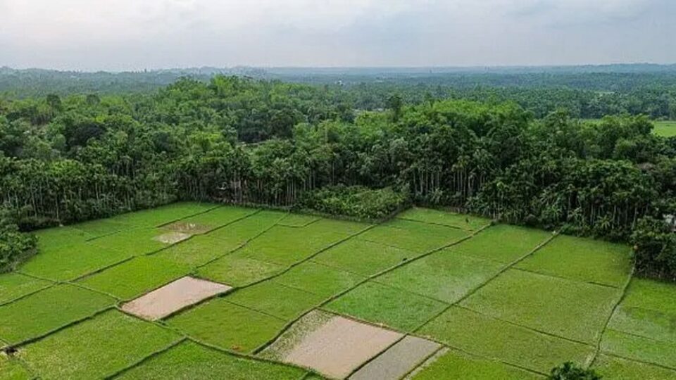 বনভূমির রক্ষায় যুগান্তকারী সিদ্ধান্ত: কক্সবাজারে জনপ্রশাসন একাডেমি নির্মাণের জমি বরাদ্দ বাতিল