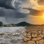 তীব্র ‘এল নিনো’ ও আন্তর্জাতিক বাজারের অস্থিরতা: বাংলাদেশের কৃষি ও খাদ্য নিরাপত্তার সামনে বড় ধরনের জলবায়ু ঝুঁকি