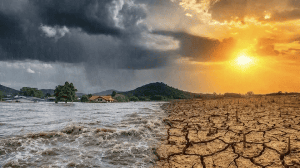 তীব্র ‘এল নিনো’ ও আন্তর্জাতিক বাজারের অস্থিরতা: বাংলাদেশের কৃষি ও খাদ্য নিরাপত্তার সামনে বড় ধরনের জলবায়ু ঝুঁকি