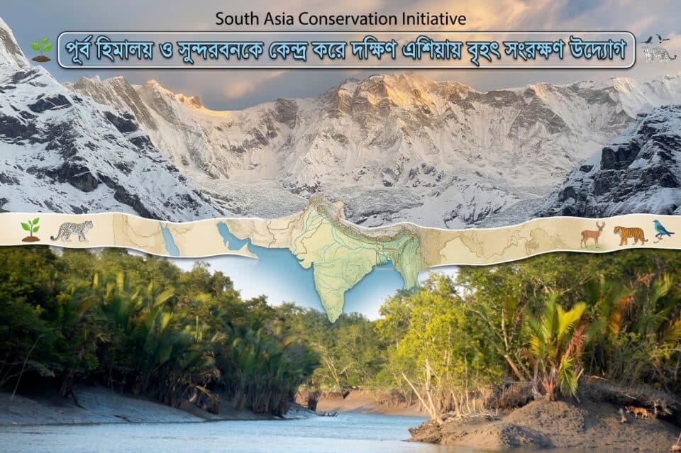 পূর্ব হিমালয় ও সুন্দরবনকে কেন্দ্র করে দক্ষিণ এশিয়ায় বৃহৎ সংরক্ষণ উদ্যোগ: ১০০ কোটি ডলার সংগ্রহে নতুন প্রচেষ্টা, স্থানীয় জীবিকা ও জীববৈচিত্র্য সুরক্ষায় জোর